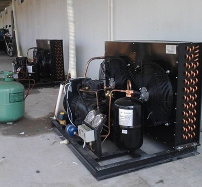 乐山冷冻食品库