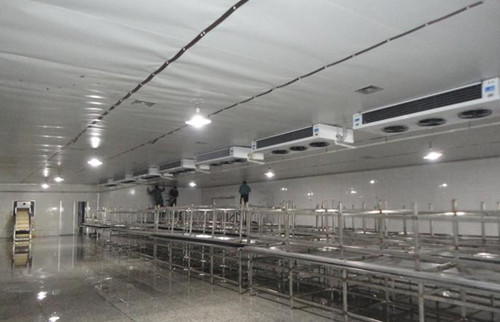 龙旺150㎡冷藏库